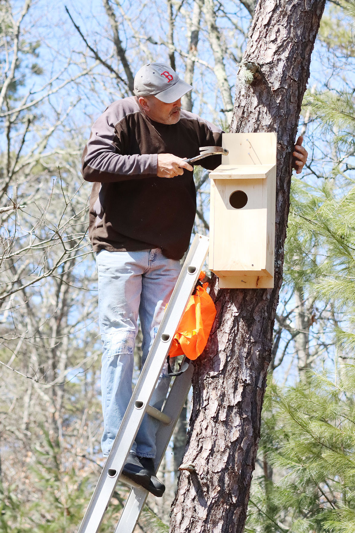 Owl Nesting Box Project Takes Hold With Bird Lovers